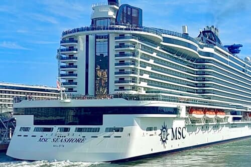 MSC Seashore Cruise